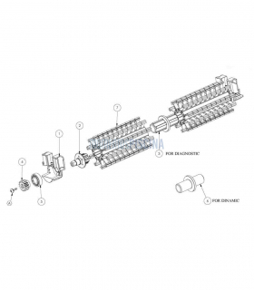 Cepillo activo inferior Dolphin 9995541-ASSY