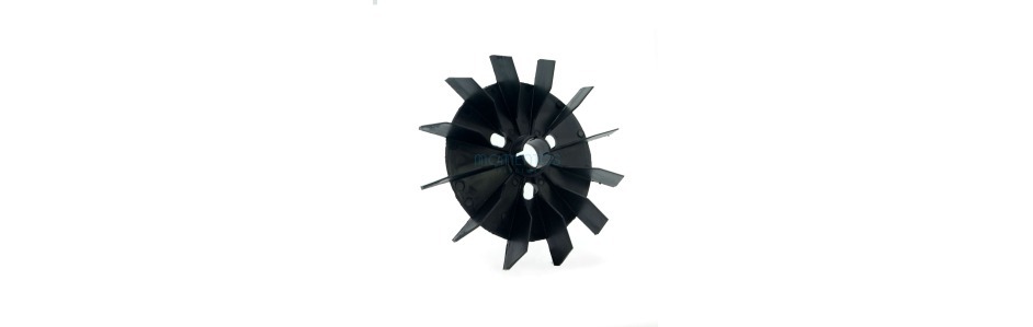 Fan Saci Winner (150-200-300)