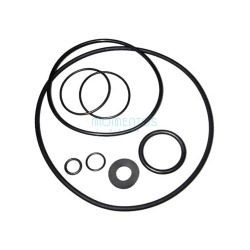 Astralpool Sena gasket kit