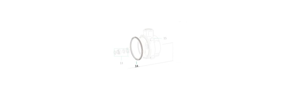 Sigma 100 Impeller body seal