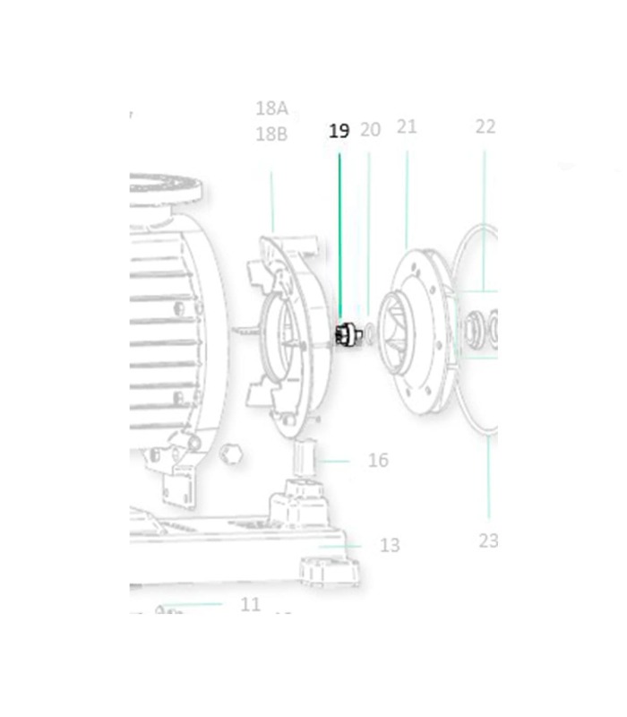 Saci Magnus impeller cap