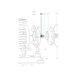 Saci Magnus gesp plug