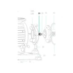 Saci Magnus/Kontra gesp plug