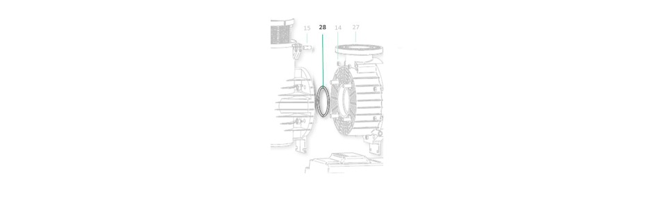 Guarnizione coperchio corpo Saci Magnus