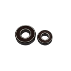 Cuscinetti Victoria Plus Silent Astralpool fino a 1 CV